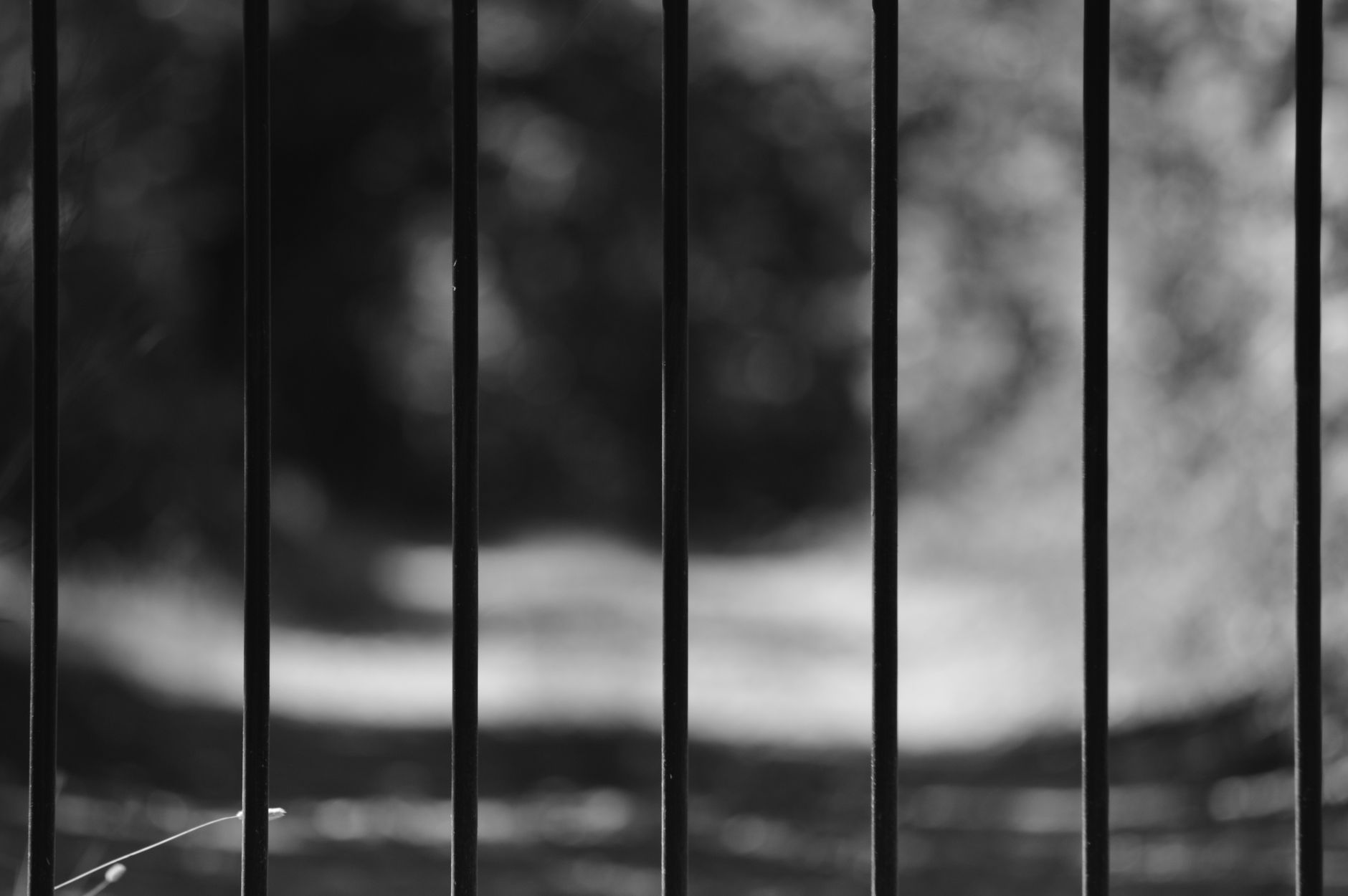 Artistic close-up of an iron fence with blurred background, emphasizing structure and contrast in Austin, TX